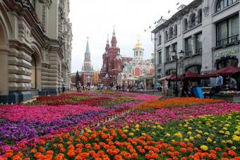 Московский Международный Фестиваль Садов и Цветов Moscow Flower Show